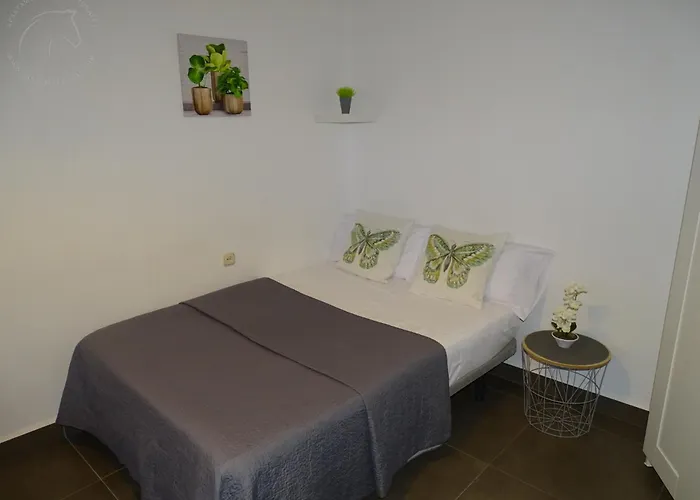 Casasjerezanas Vistaflor2 Apartment *